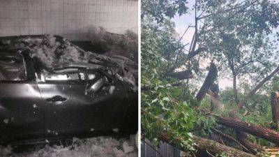 Повалені дерева та розбиті автомобілі: наслідки негоди у Києві - autocentre.ua - місто Київ - місто Киев