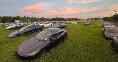 Сотні новеньких електрокарів Tesla кинули у полі (фото) - autocentre.ua - Сша - штат Флорида