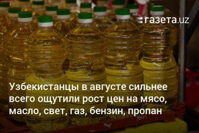 Узбекистанцы в августе наиболее сильно ощутили повышение цен на мясо, свет, газ, бензин, пропан — опрос ЦБ - gazeta.uz - Узбекистан - Ташкент - Навоийской обл.