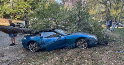 Chevrolet Corvette - Разбитый раритет: в Киеве попал в ДТП спорткар Chevrolet Corvette (фото) - focus.ua - Киев - Украина - Сша - район Шевченковский