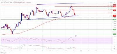 Цена SOL держится на важном уровне поддержки: продолжится ли ралли? - cryptowiki.ru