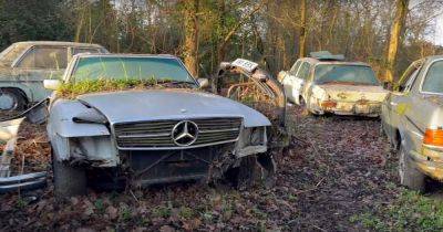 Классика во дворе: обнаружено кладбище старинных Mercedes-Benz (видео) - focus.ua - Украина - Англия - Mercedes-Benz