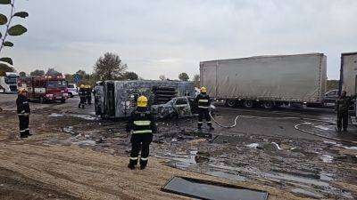 В прошлом году каждое третье ДТП в Узбекистане произошло с участием пассажирских и грузовых авто - podrobno.uz - Узбекистан - Ташкент