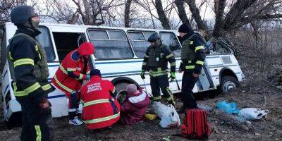 В Днепропетровской области автобус с пассажирами врезался в дерево, пострадали 14 человек - nv.ua - Украина - Днепропетровская обл. - Никополь - район Никопольский - с. Алексеевка