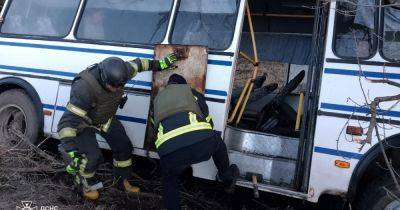 В ДТП на Днепропетровщине пострадали 14 человек: автобус влетел в дерево (ФОТО) - dsnews.ua - Украина - Днепропетровская обл. - Львовская обл. - с. Алексеевка